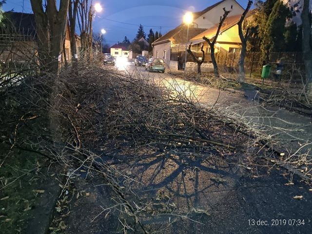 FOTOGALERIE. Sătmarul minunilor! Drum blocat parțial cu crengi de copaci, în Micro 17!