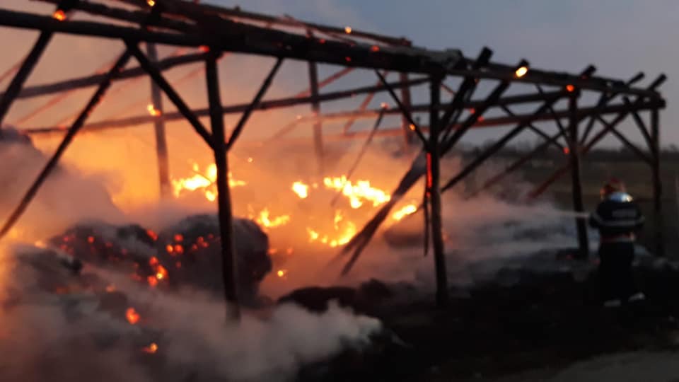 FOTOGALERIE. Un fumător a lăsat praf și pulbere după el, în județul Satu Mare