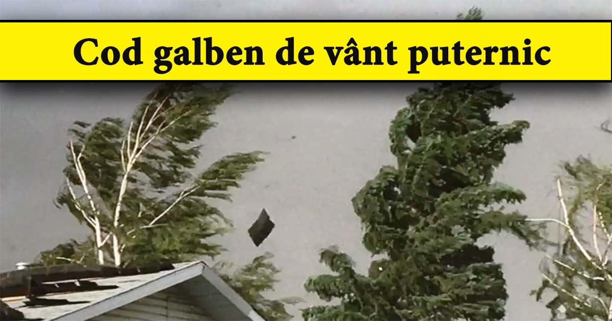 Cod galben în mai multe județe din țară. Zonele din Satu Mare aflate sub avertizare