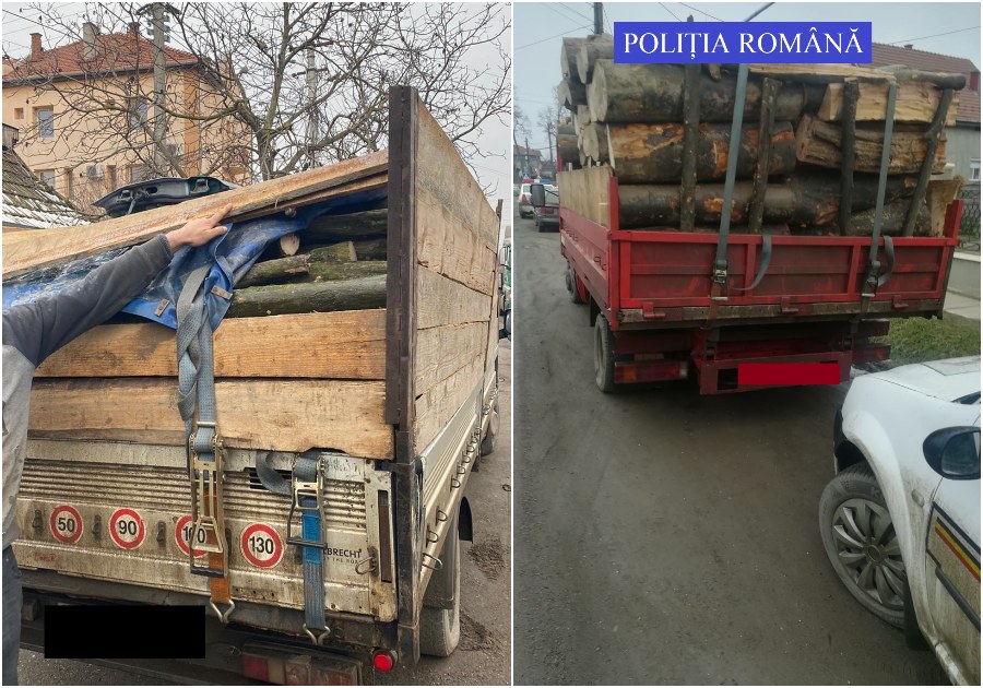 FOTO. Filtre în județ! Transporturi ilegale de lemne depistate în trafic