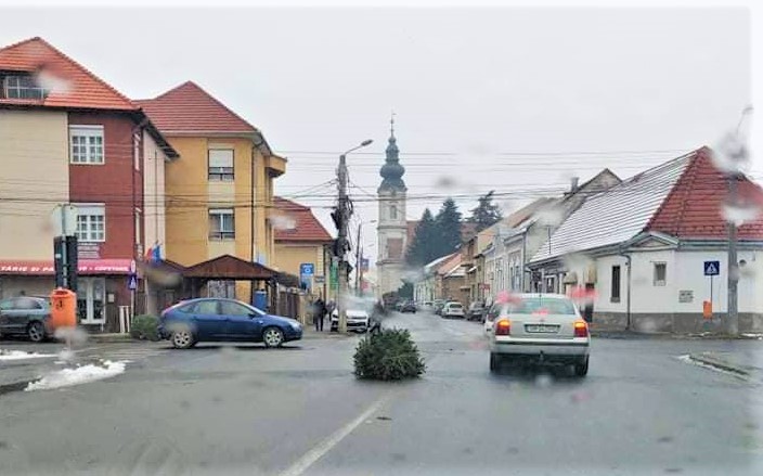 FOTO. Crăciun pe asfalt! Brad lăsat în mijlocul intersecției, în Satu Mare