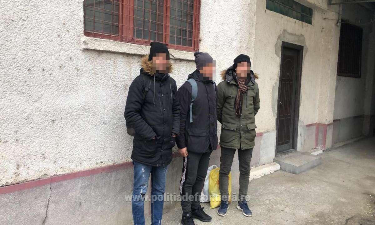 FOTO. Migranții sunt tot mai insistenți! Prinși pe bandă rulantă în județ