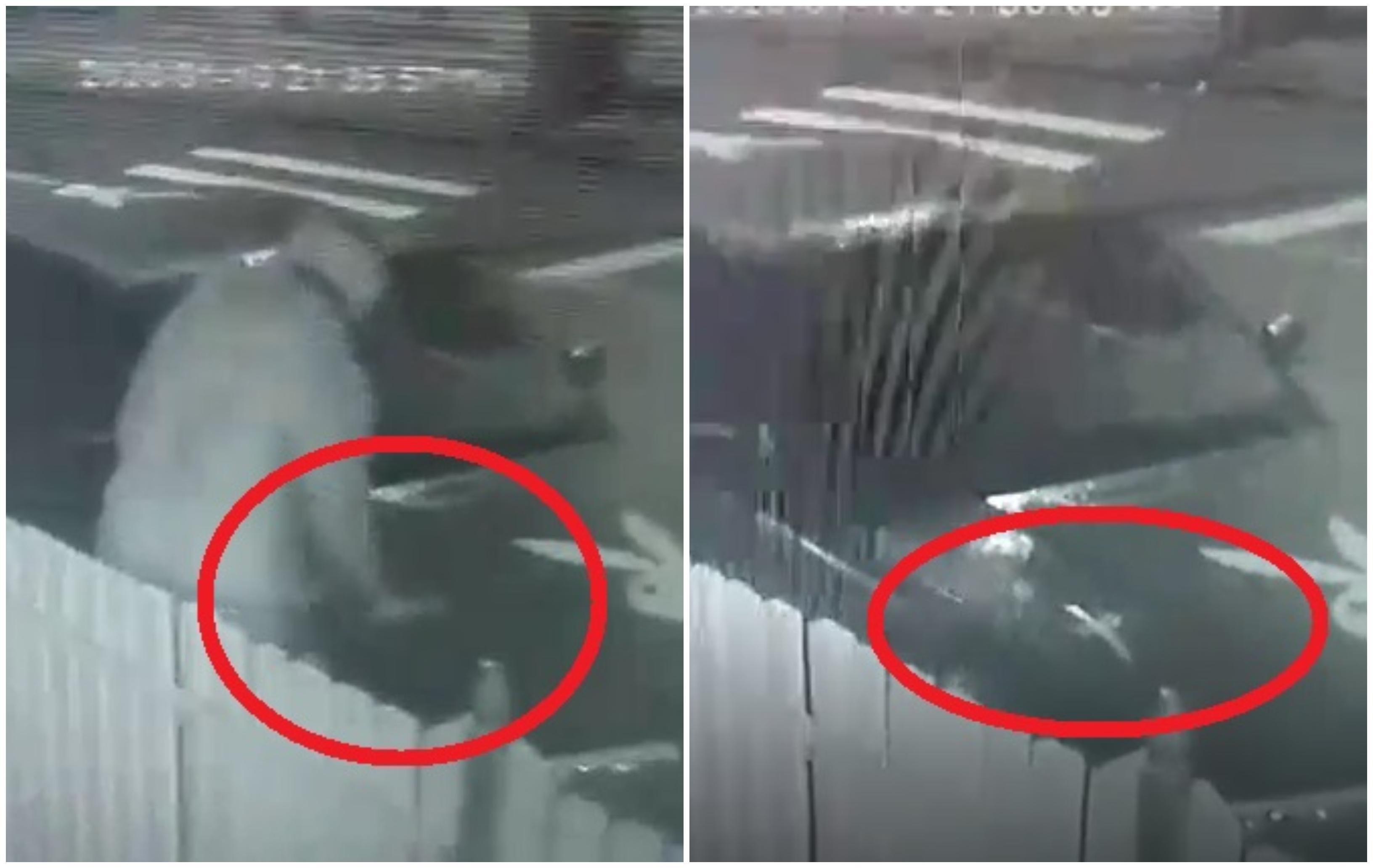 FOTO/VIDEO. Cruce pe mașina unei sătmărence! Amenințare din partea unui necunoscut?!