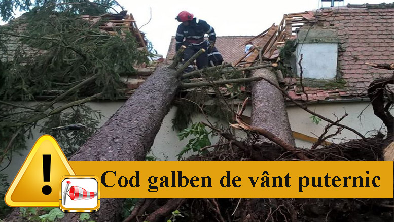 Avertizare meteo. Cod galben de vânt puternic la Satu Mare