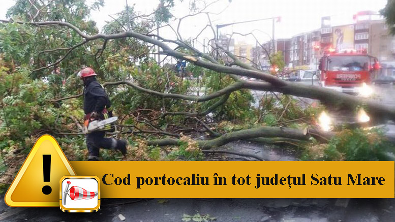 Satu Mare va intra sub Cod portocaliu de vijelii. Când intră în vigoare avertizarea meteo