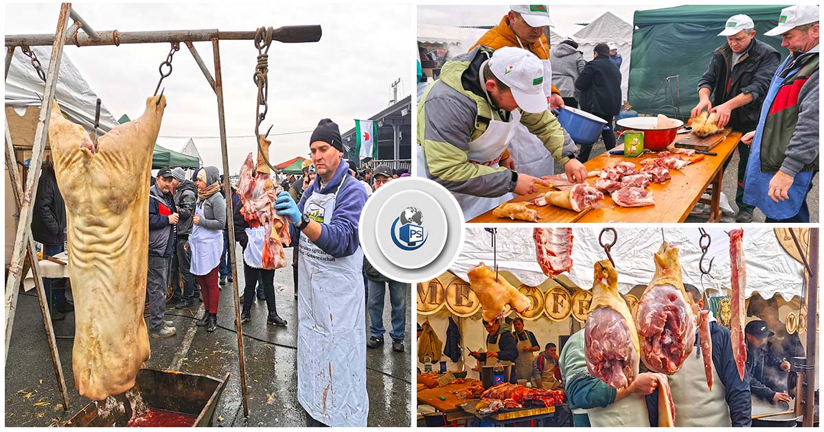 FOTOREPORTAJ. A curs mult sânge în Halmeu, la concursul de tăiat porci. Preparate unul și unul