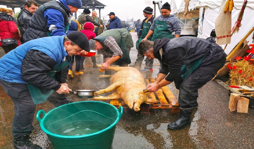 Românii nu vor mai putea să crească porcii în orice condiții. Vânzarea, interzisă!