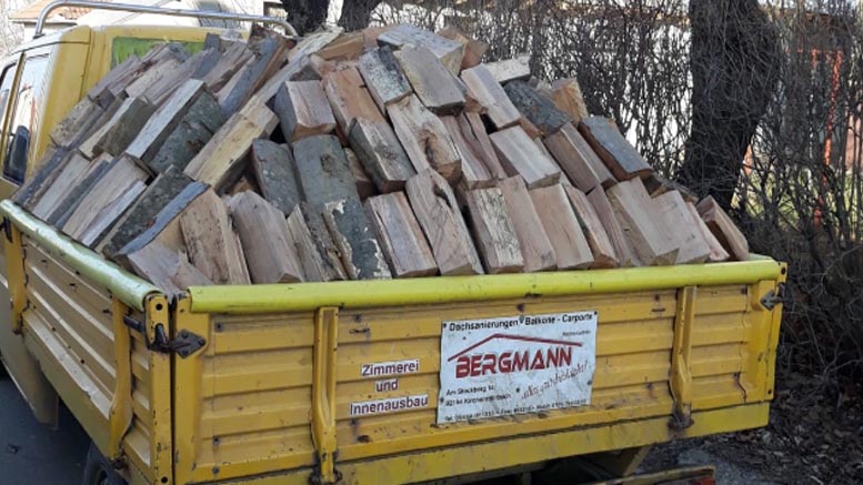 FOTO. Hoți de lemne, prinși de jandarmi. Amendați și cei care au tăiat copaci la Călinești Oaș