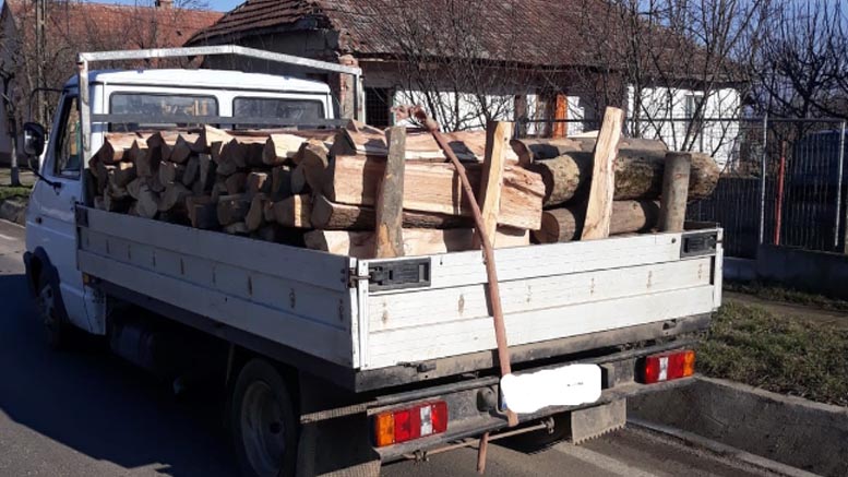 Un tânăr a fost prins cu autoutilitara plină cu lemne. I s-a confiscat ”marfa” și a fost amendat