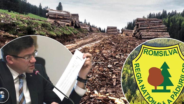 Pădurarii din Satu Mare, atac la ministrul Mediului: ”Nu se fură așa de mult în județ!”