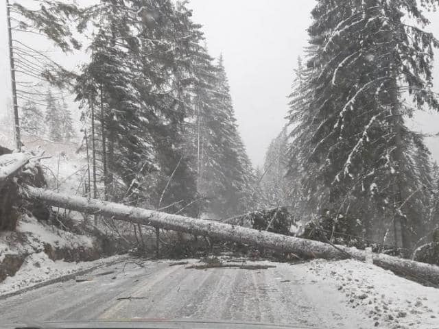 FOTO/VIDEO. Viscolul și ninsorile fac prăpăd în țară. Drumuri blocate, trenuri anulate, locuitori fără curent