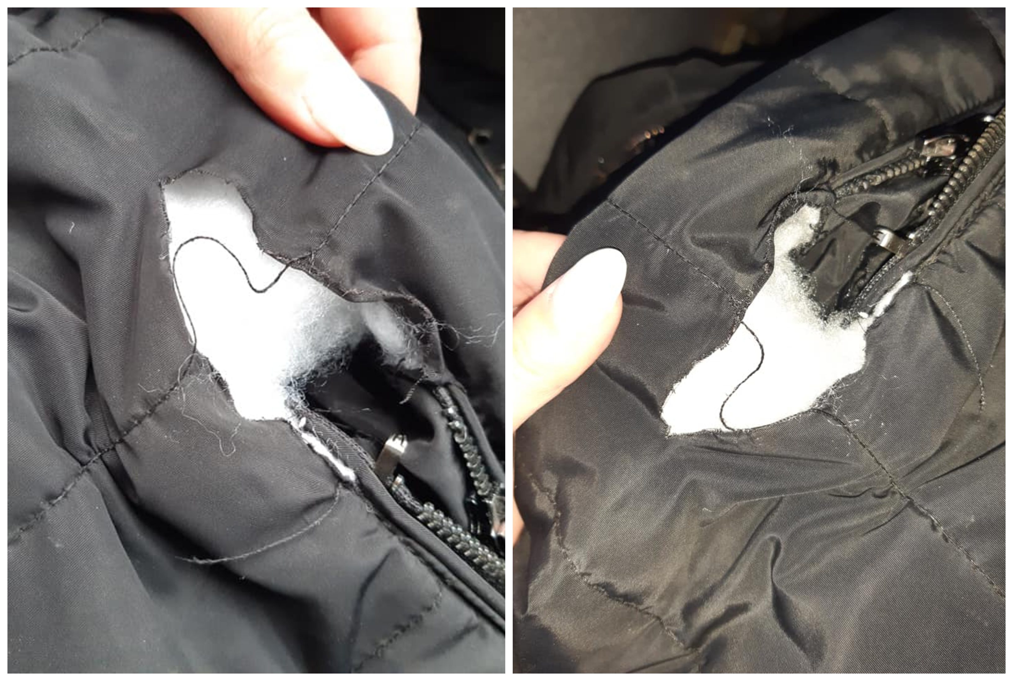 FOTO. Femeie agresată pe stradă, în Satu Mare. Un bărbat cu briceag i-a rupt geaca