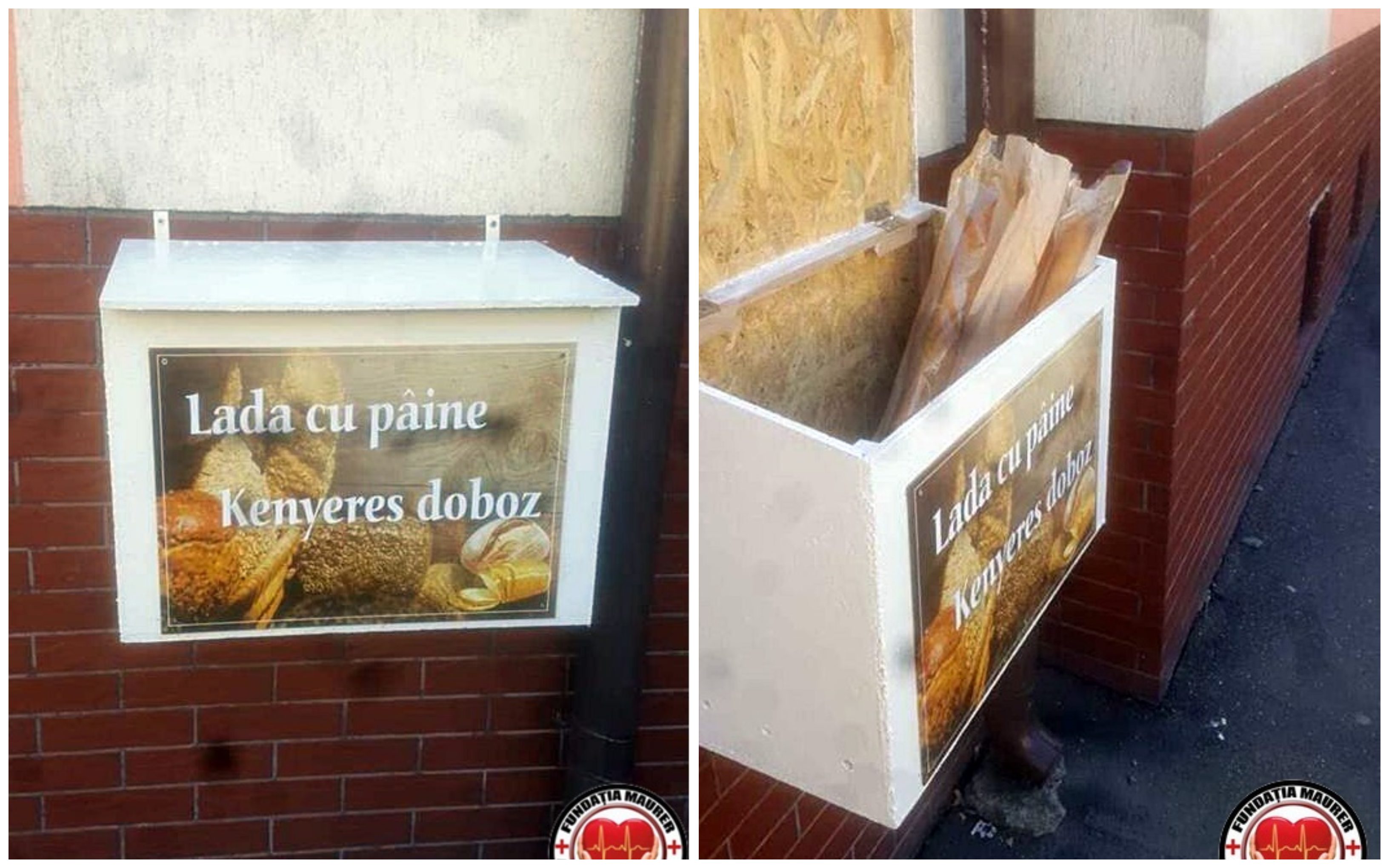 FOTO. Nevoiași umiliți în Satu Mare. Unii ”donează” resturi alimentare, în bătaie de joc