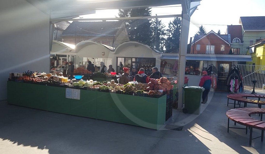 Romeo Nicoară taxează politicienii care denaturează realitatea pentru capital electoral