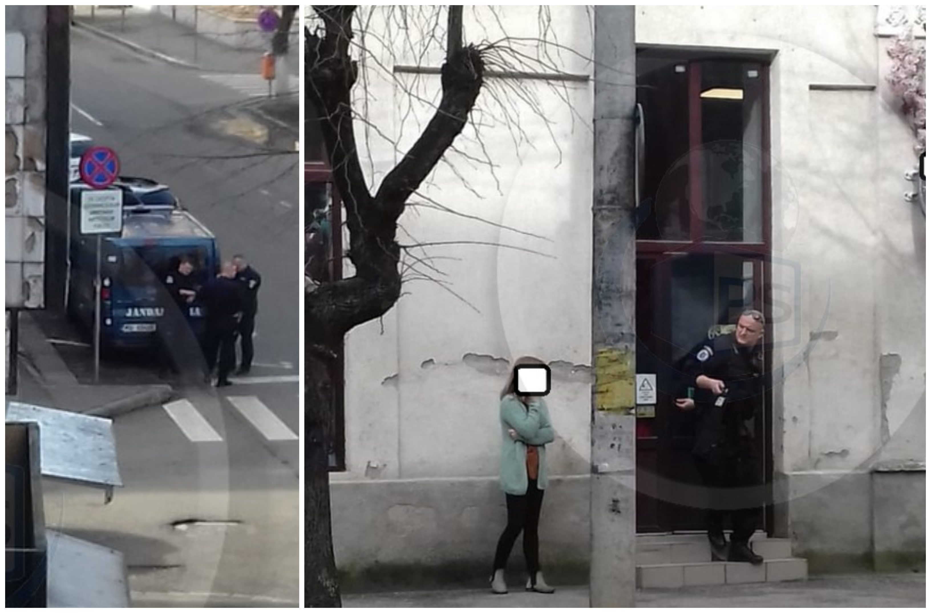 FOTO/VIDEO. Jandarmii au confiscat toate florile din centrul municipiului Satu Mare