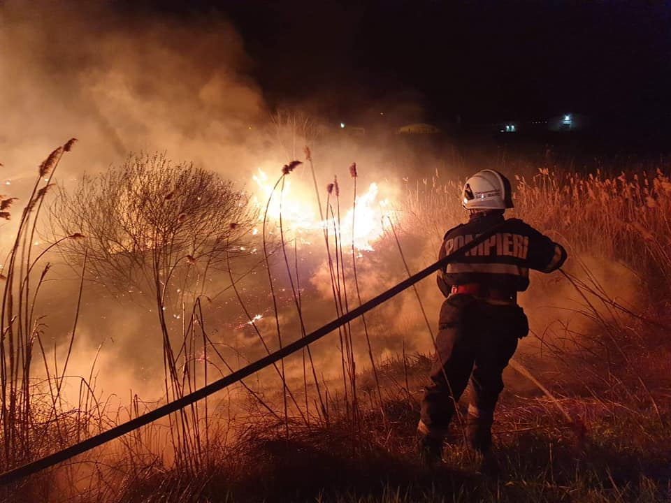 FOTO/VIDEO. Incendii în municipiul Satu Mare. Pericol de propagare, au intervenit pompierii