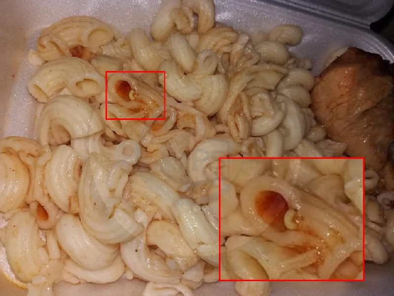 FOTOGALERIE. Cazul ”vierme în macaroane”. Managerul Spitalului Satu Mare acuză un sabotaj