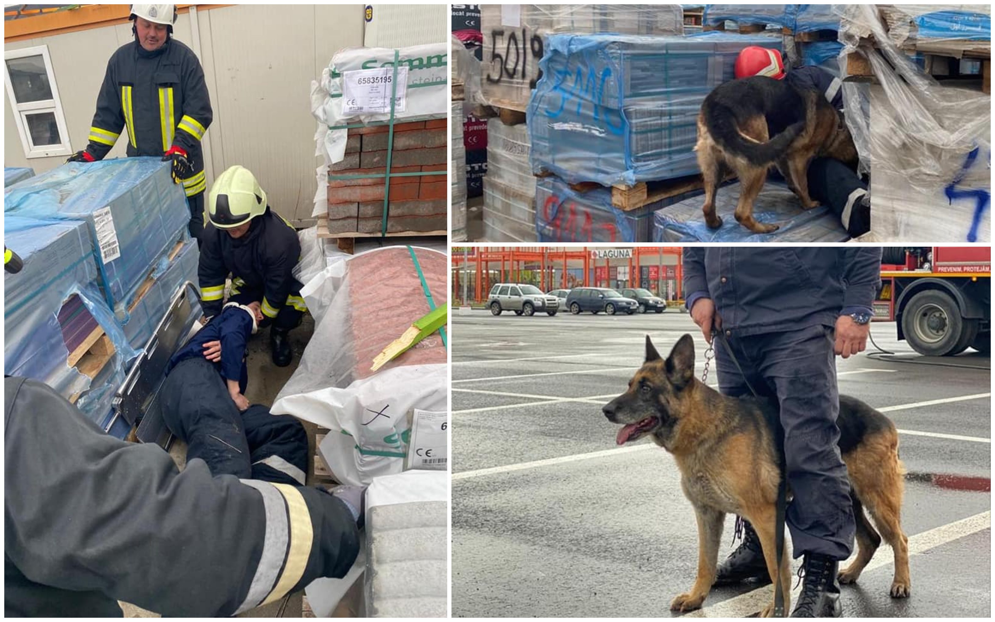 FOTOGALERIE. Câinele erou, care a salvat 3 persoane la Auchan Satu Mare (EXERCIȚIU)