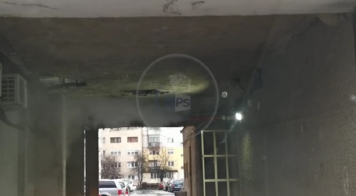 VIDEO. Gangul horror din Satu Mare. Poftiți la mirosuri, dragi sătmăreni!