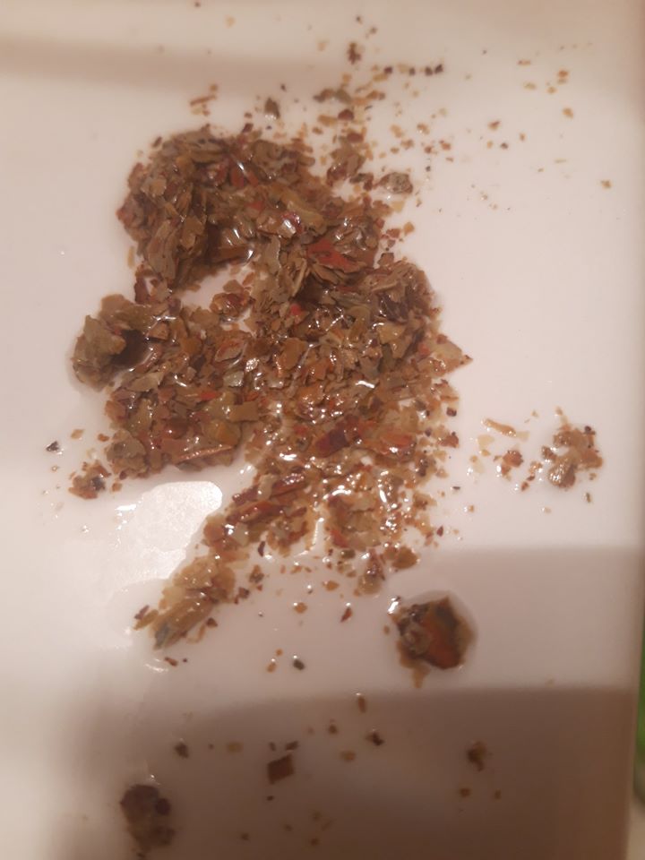 FOTO. Nou, în județul Satu Mare! Apaserv livrează pietre la robinet