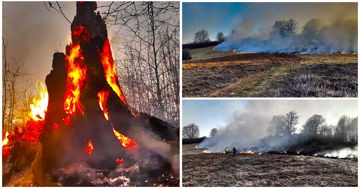 FOTOGALERIE. Incendiu de amploare în județ! Zeci de pompieri intervin de peste 34 de ore