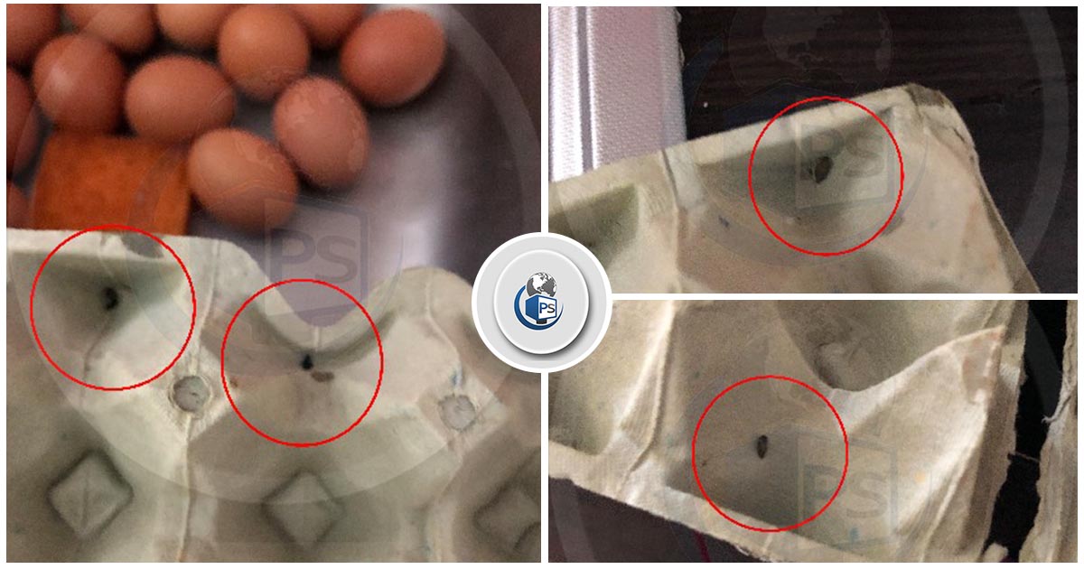 FOTO. ”Nou” în județul Satu Mare. Ouă cu excremente de șoarece!