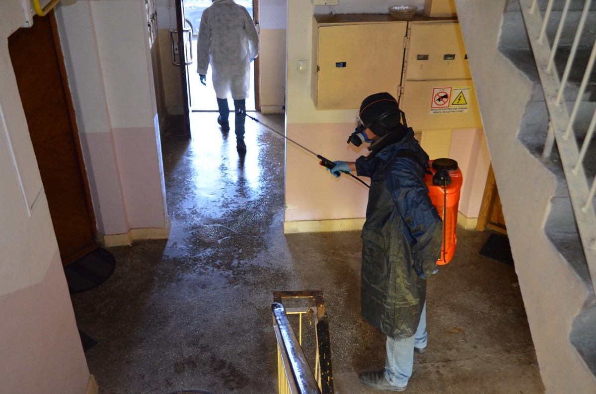 FOTO. La Carei a început dezinfectarea blocurilor. S-a pus dezinfectant și la intrări