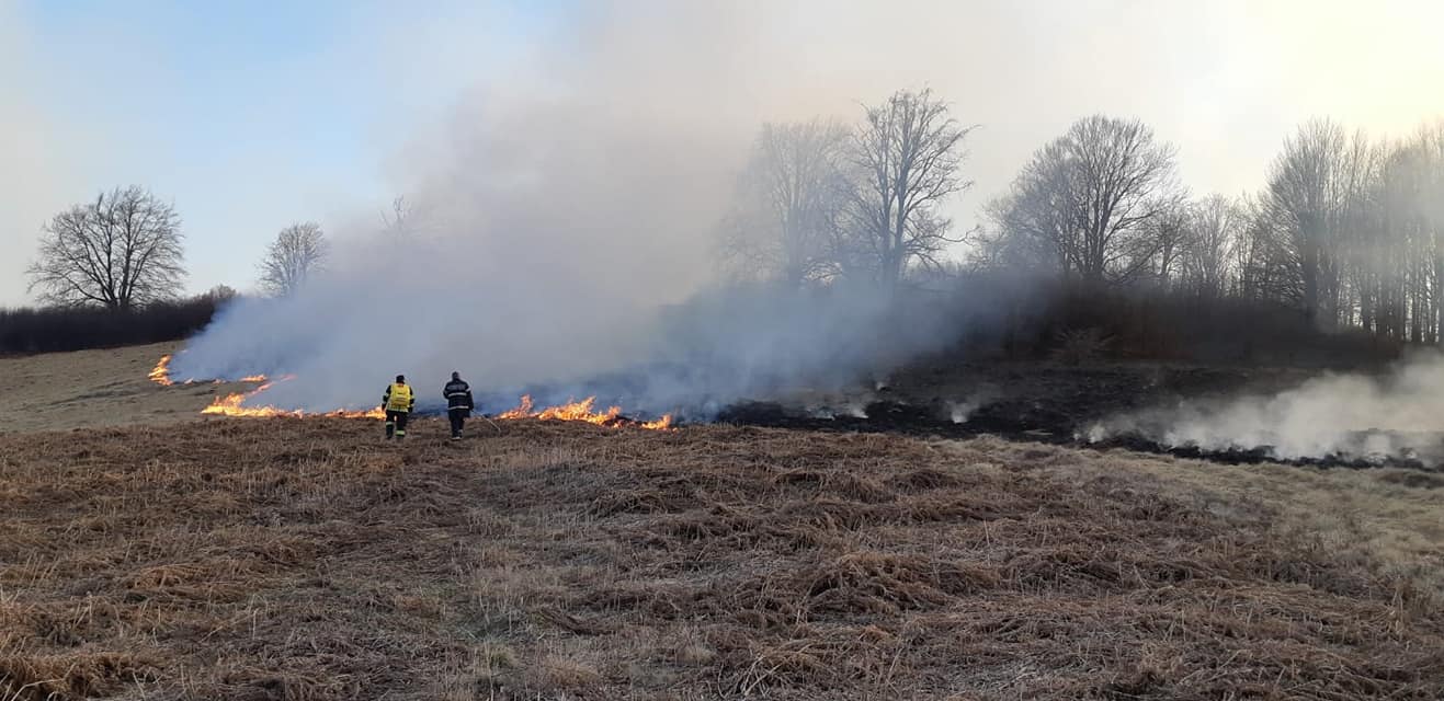 FOTOGALERIE. 15 hectare de pădure și terenuri pârjolite în județul Satu Mare