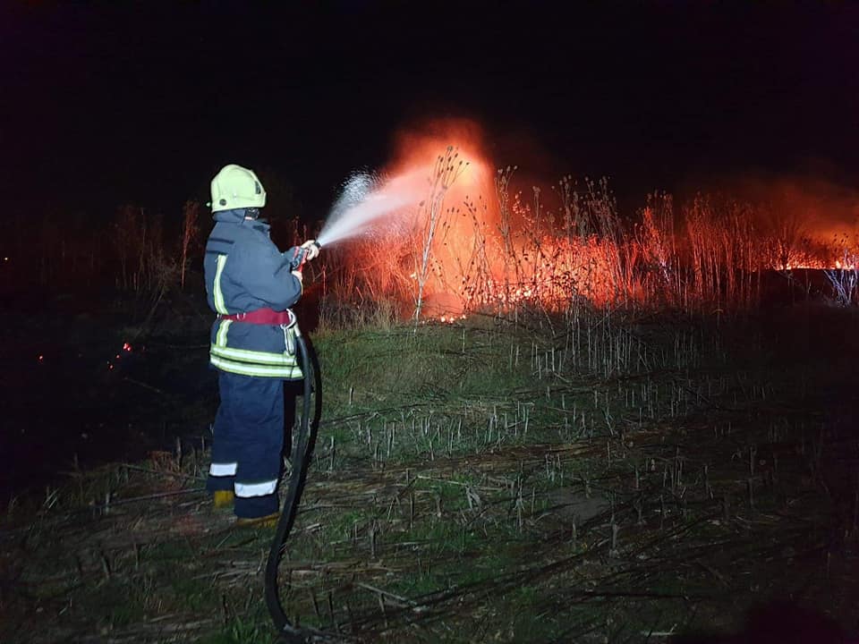 Avertismentul pompierilor sătmăreni: Incendiile de vegetație, în creștere alarmantă