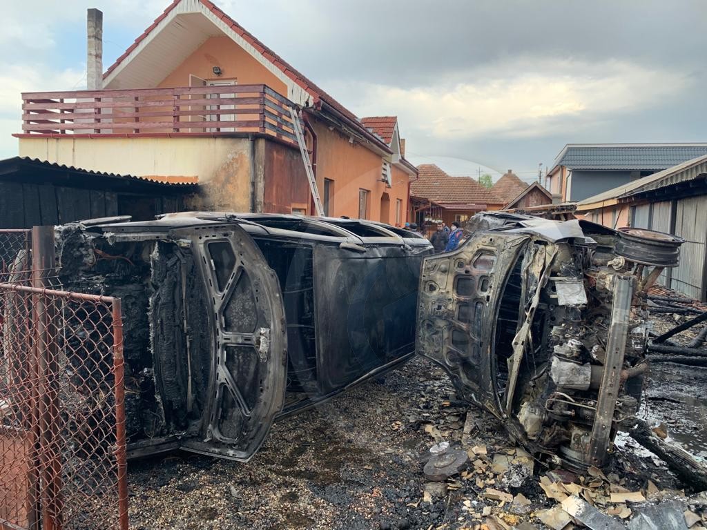 FOTOGALERIE. Bilanțul dezastrului de la Halmeu: Animale moarte, mașini și anexe distruse