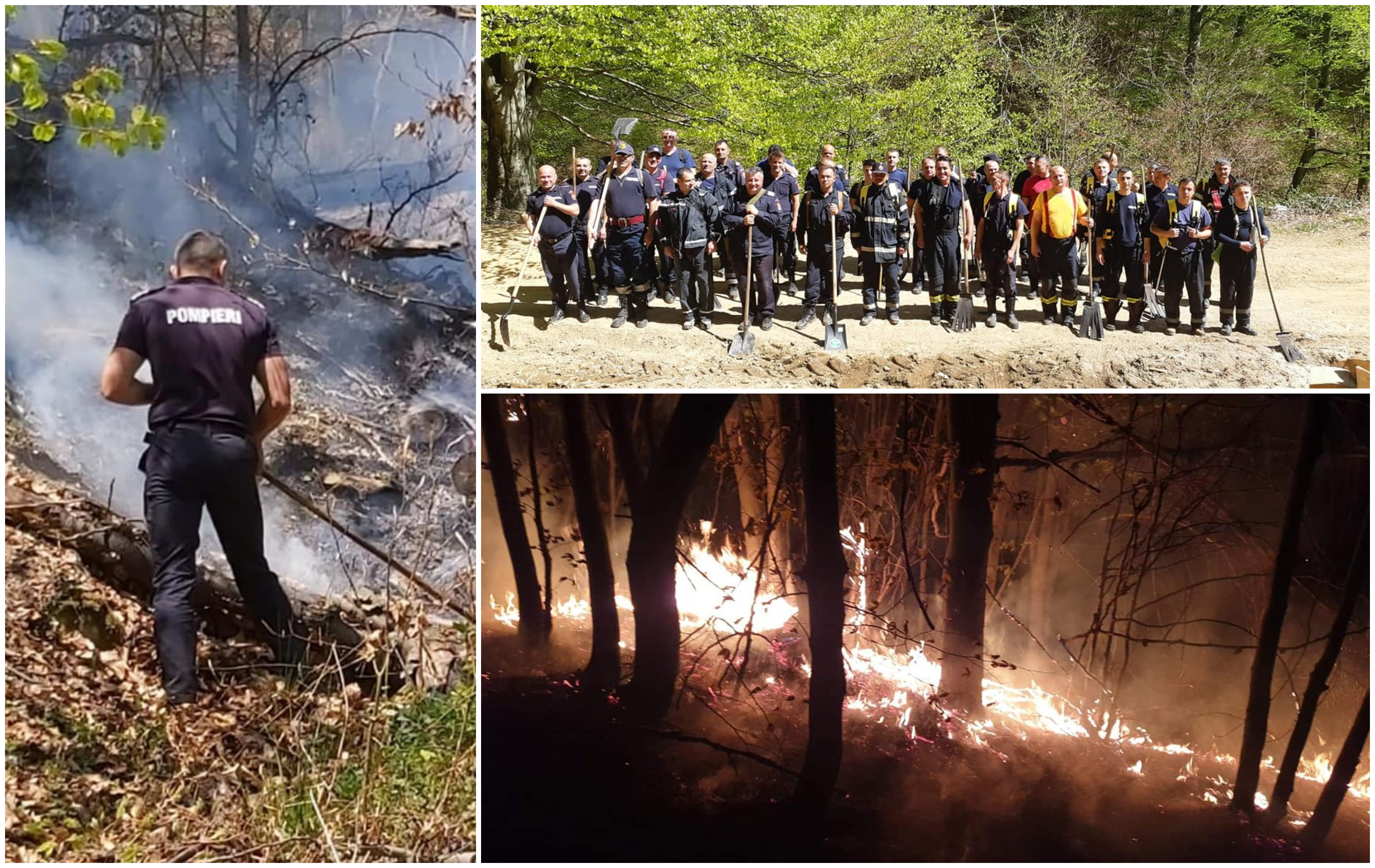 FOTOGALERIE. Incendiu uriaș în județ. Mobilizare de amploare a pompierilor și sătmărenilor