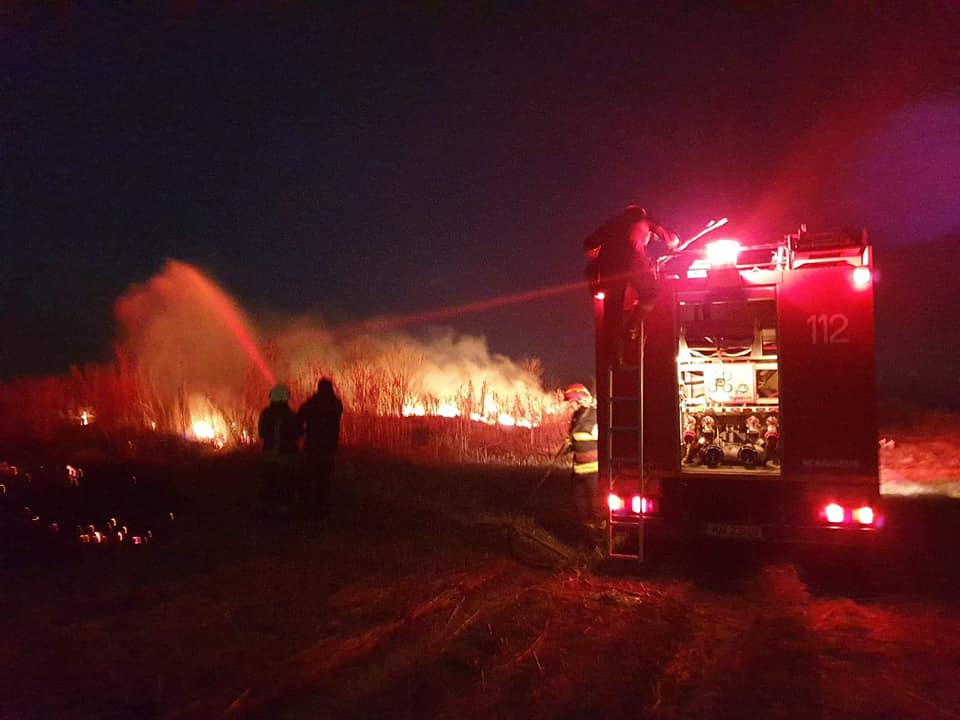 FOTO/VIDEO. Incendiu de amploare în județ! Hectare întregi făcute scrum!