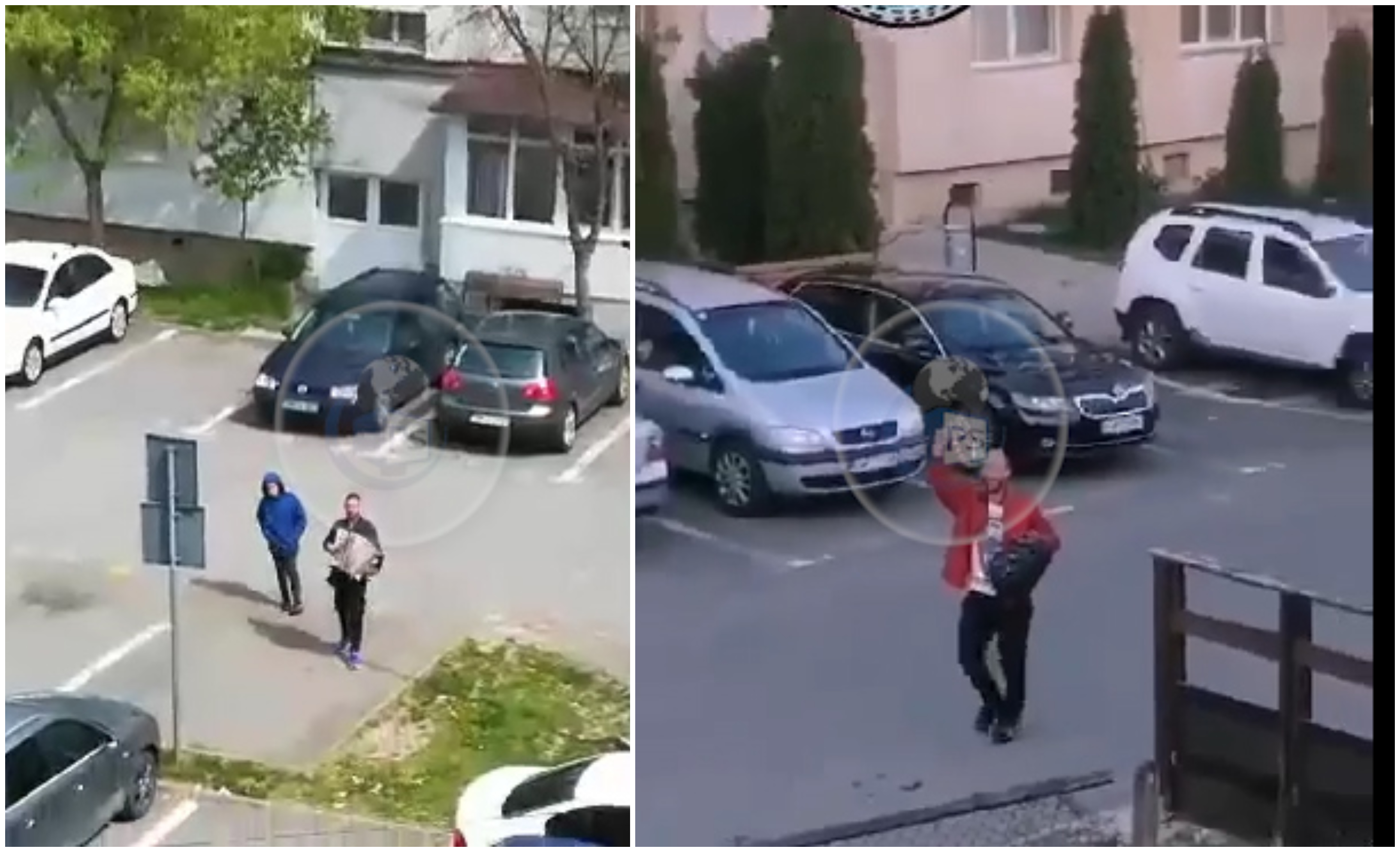 VIDEO. Balcano-virus. Lăutari pe stradă la Satu Mare și Negrești-Oaș