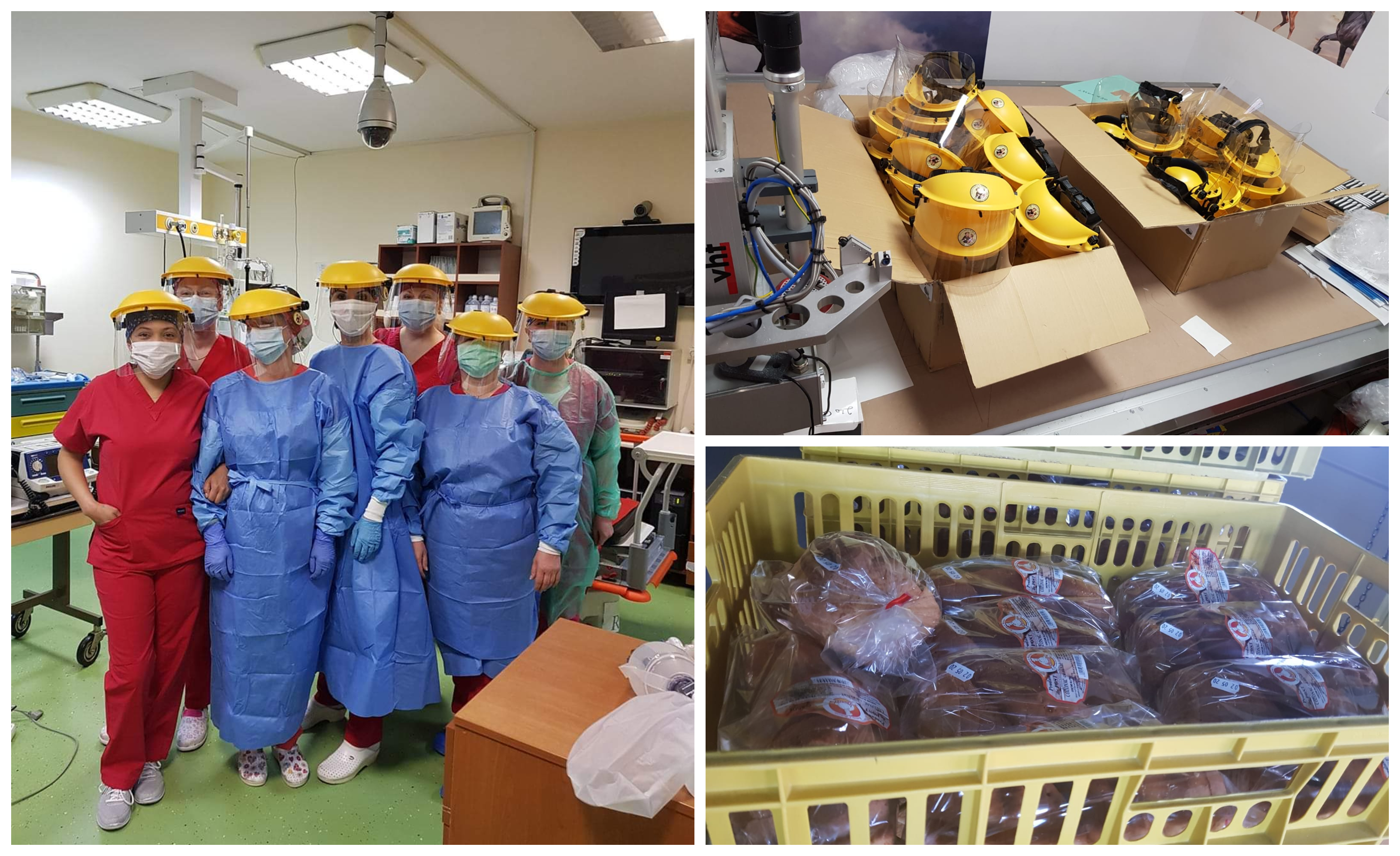 FOTOGALERIE. Cadouri de Paște pentru cadrele medicale din linia 1, în Satu Mare!