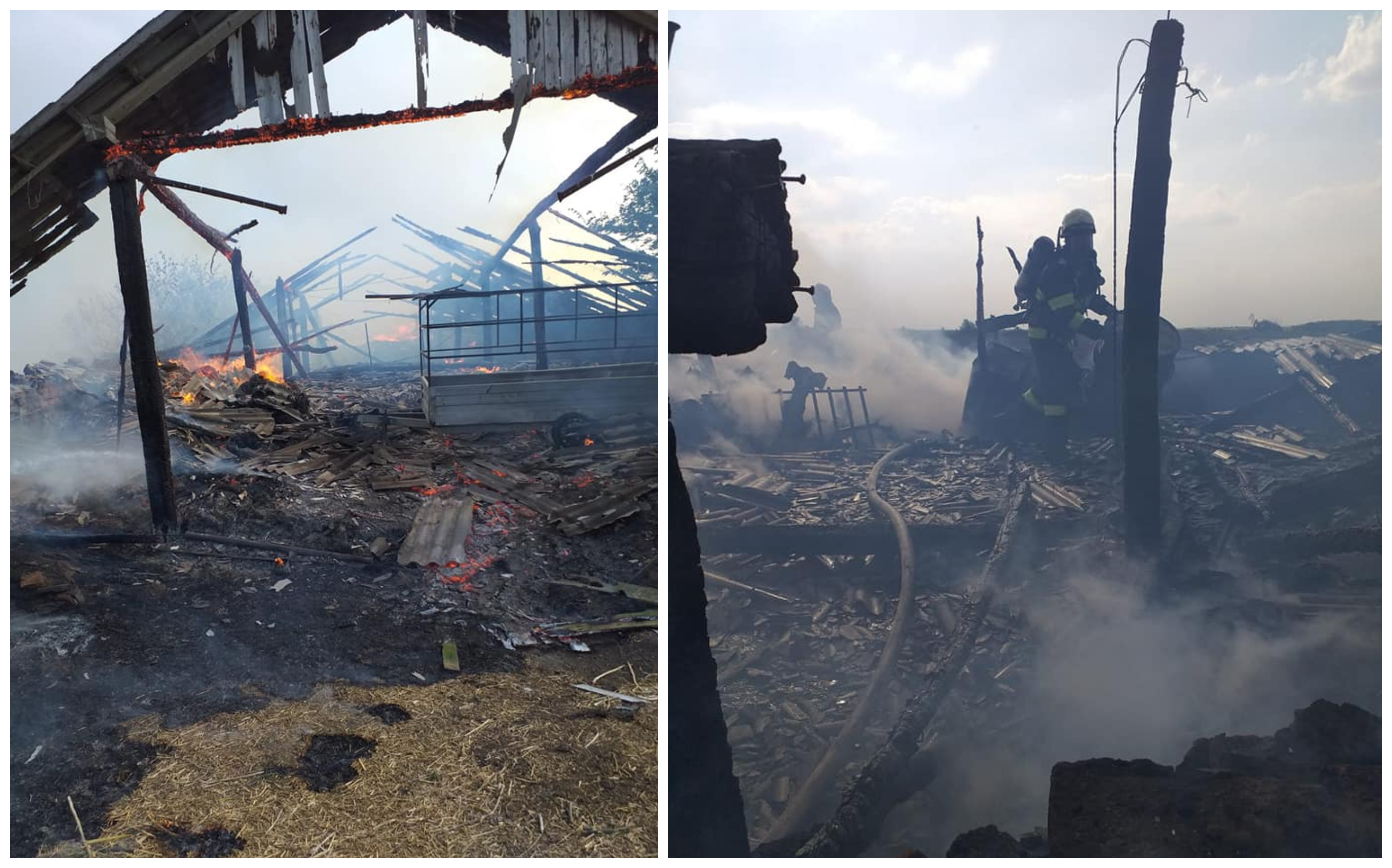 FOTOGALERIE. Saivan de oi făcut scrum în județul Satu Mare