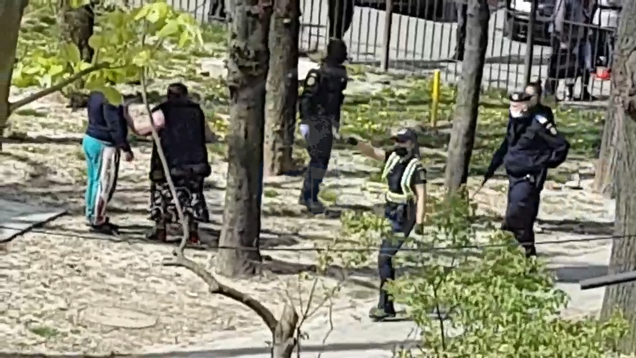 FOTO/VIDEO. Rromii au făcut scandal cu polițiștii, în municipiul Satu Mare!
