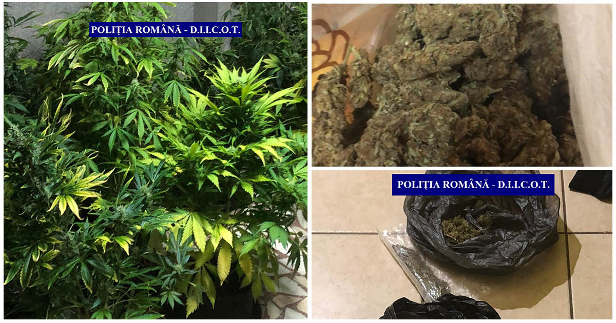 FOTOGALERIE. Cum a fost prins în flagrant un traficant și un ofițer de poliție, în municipiul Satu Mare