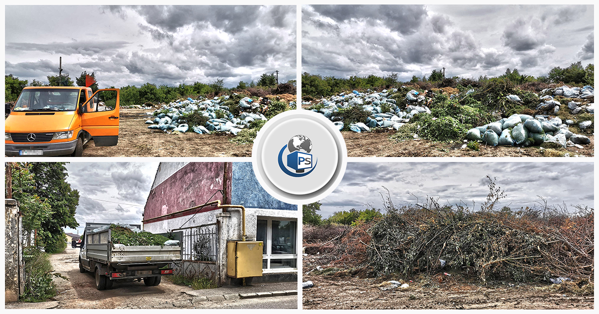 FOTO. Miros insuportabil într-o parte a municipiului Satu Mare. Sursa: o "groapă" de deșeuri temporară