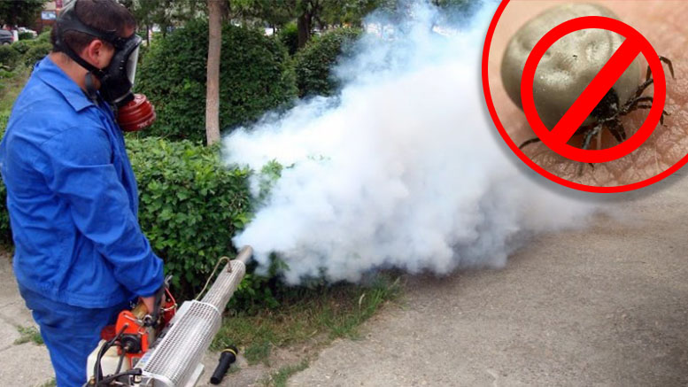 Start la dezinsecție în municipiul Satu Mare. Tratament împotriva căpușelor