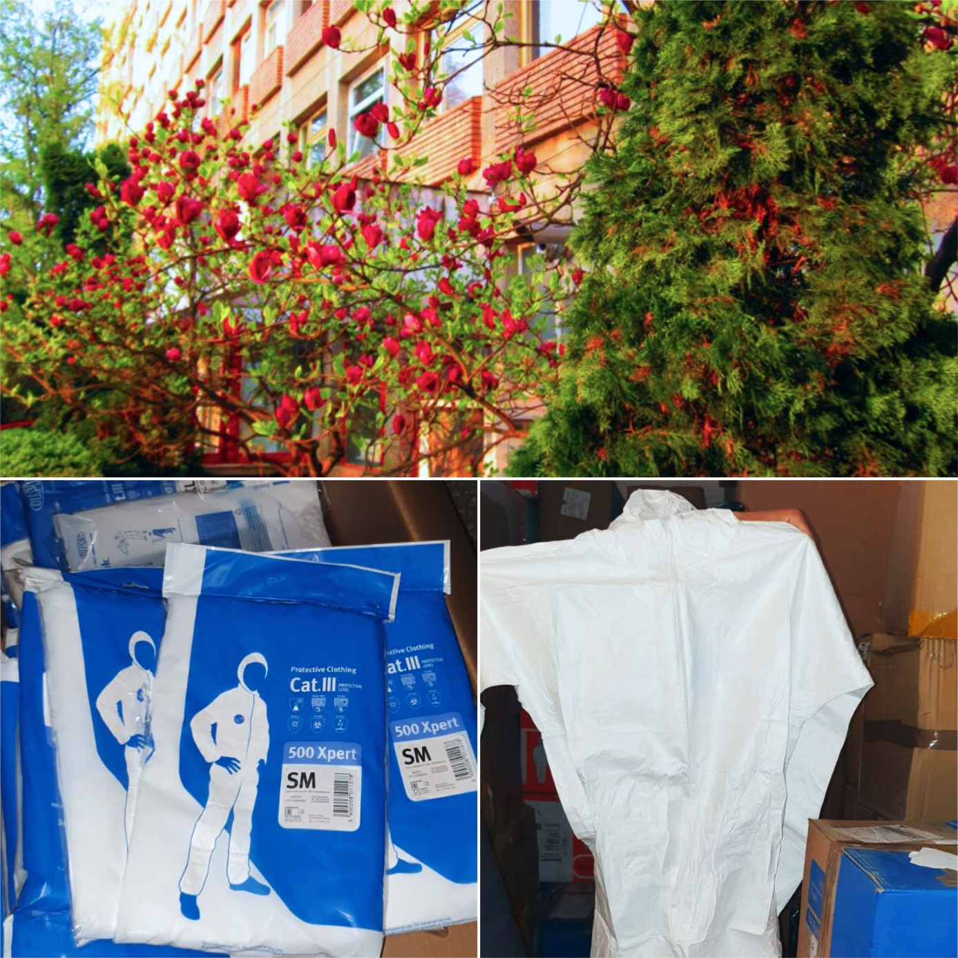 O firmă uriașă a donat materiale de protecție anti-COVID19 pentru Spitalul Județean