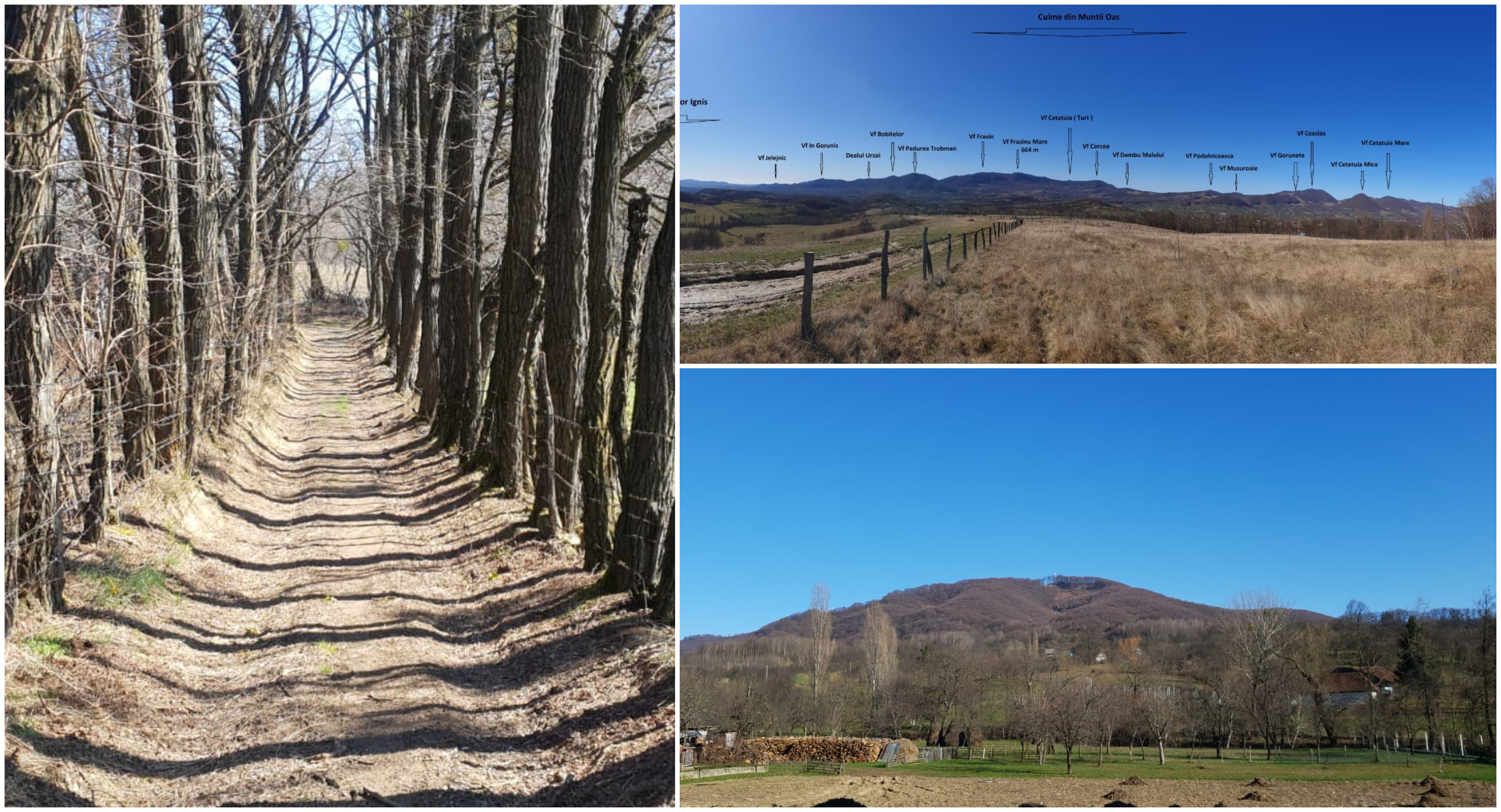 FOTOREPORTAJ. Drumeții pe Plaiul Sătmarului. Vă prezentăm locurile de basm din județ