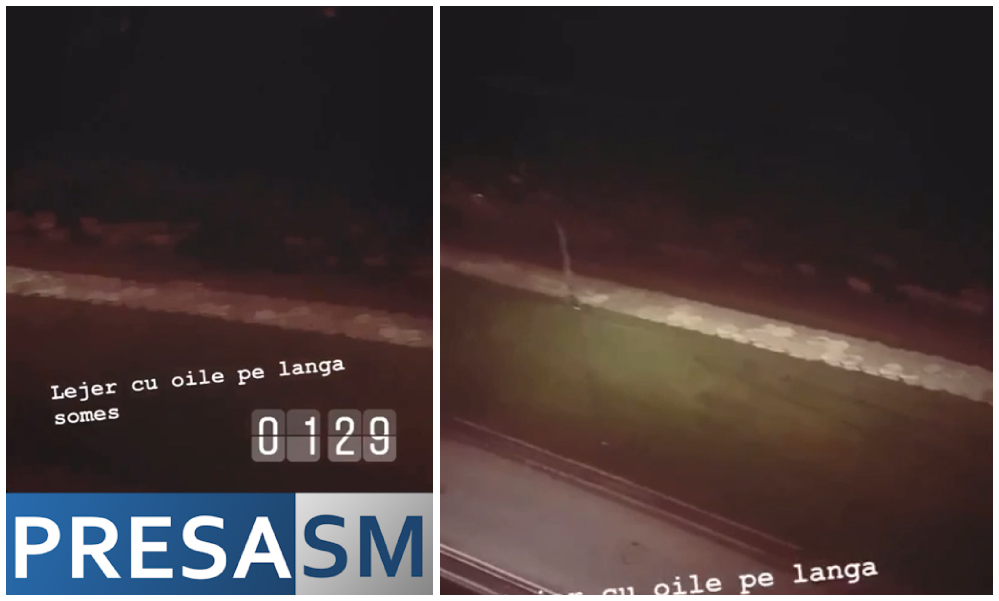 VIDEO. Turmă de oi pe Bulevardul Transilvania, în centrul municipiului Satu Mare!