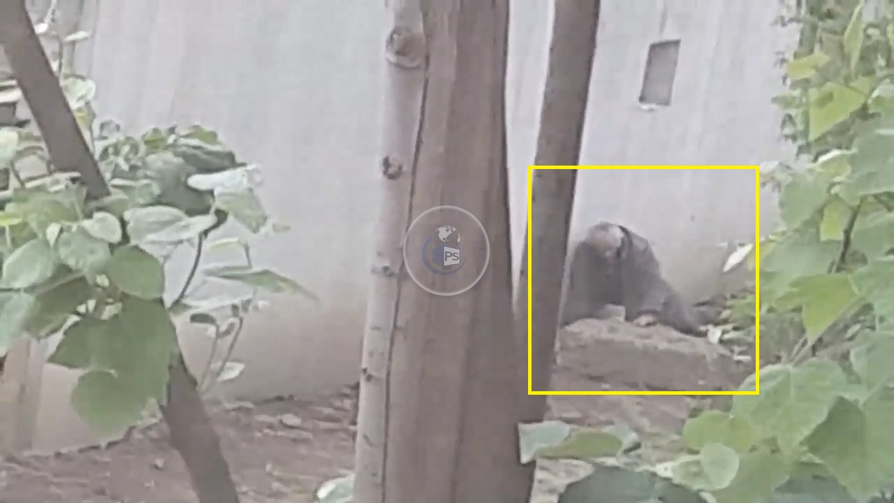 VIDEO. Imagini dramatice. Bolnav agonizează lângă Piața Someș, în Satu Mare