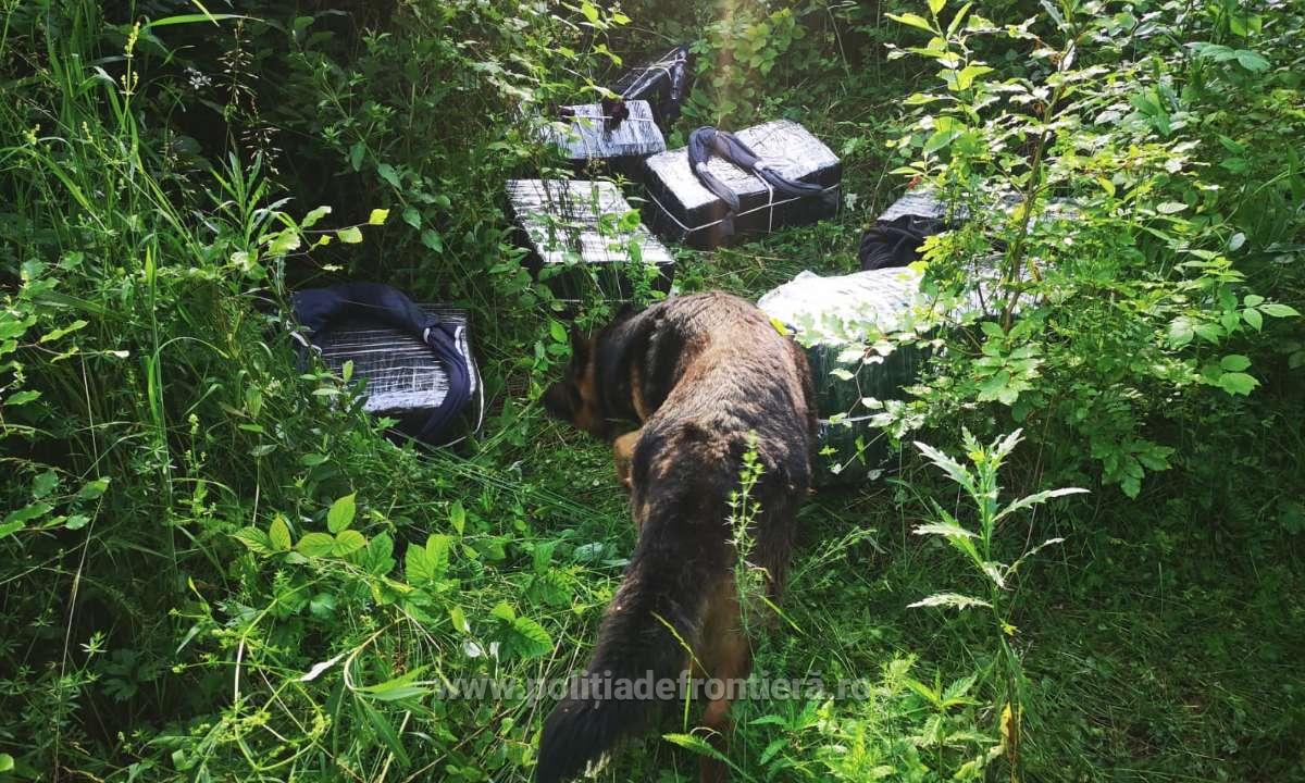 FOTO. Au fugit înapoi în țara vecină. Și-au abandonat coletele cu marfa de contrabandă