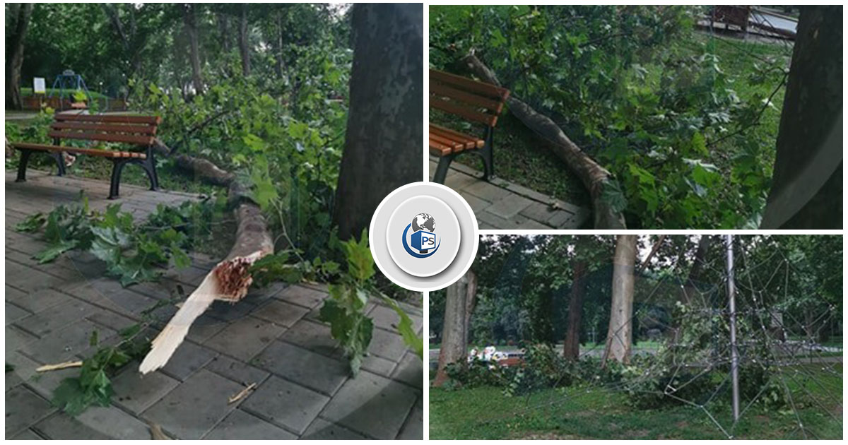 FOTO. Ramuri periculoase. O creangă a căzut lângă locul de joacă din Grădina Romei