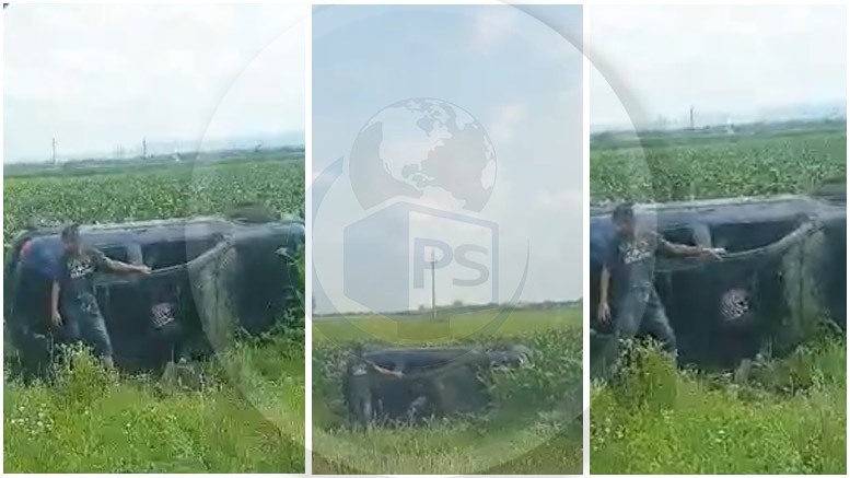FOTO/VIDEO. Mașină răsturnată în...lanul de porumb. Accident în județul Satu Mare