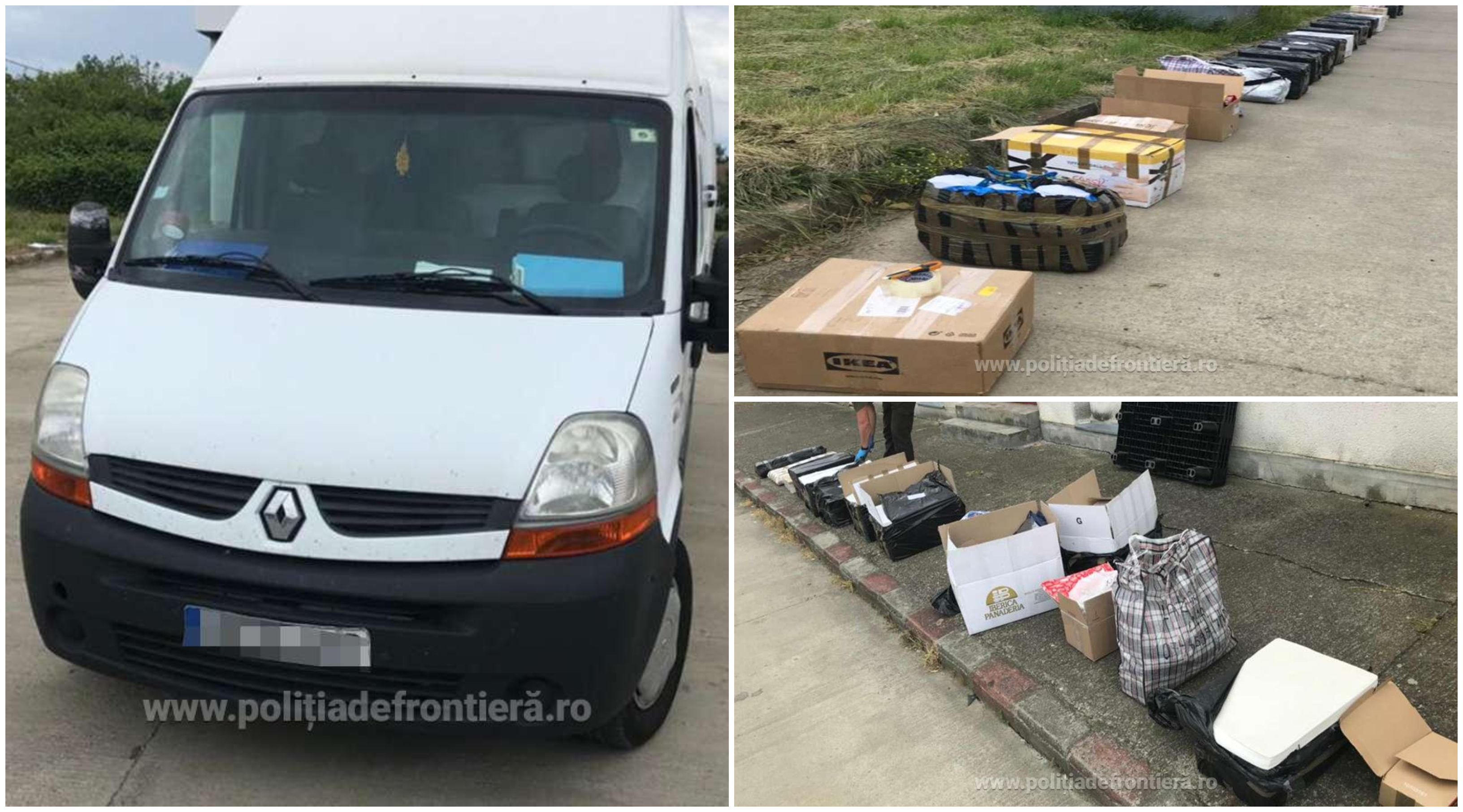 FOTOGALERIE. Vânătoare de contrabandiști, cu ajutorul câinilor, în județul Satu Mare