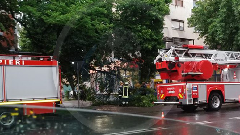 FOTO. Pericol în Micro 17. Intersecție blocată de un copac care a cedat parțial
