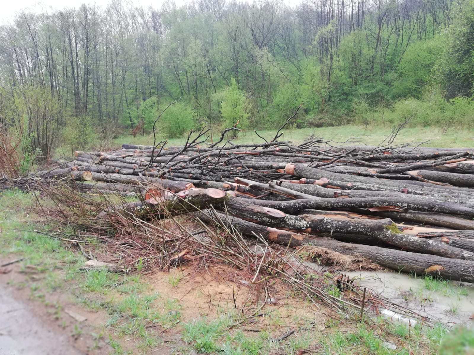 Január 31–én indul az új SUMAL-program