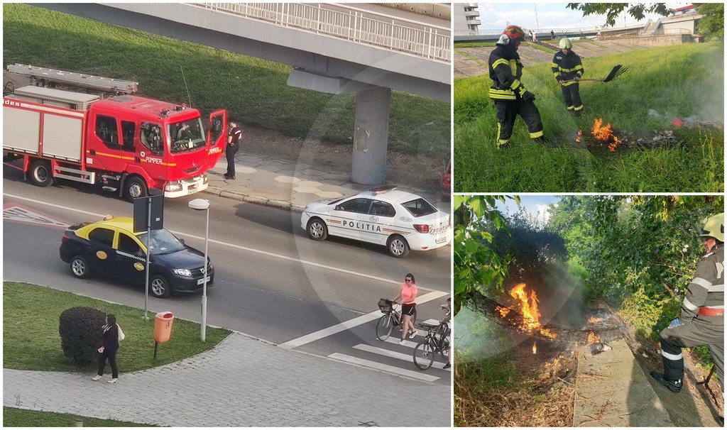 FOTOGALERIE. Incendiu pe malul Someșului, în zona centrală a municipiului Satu Mare